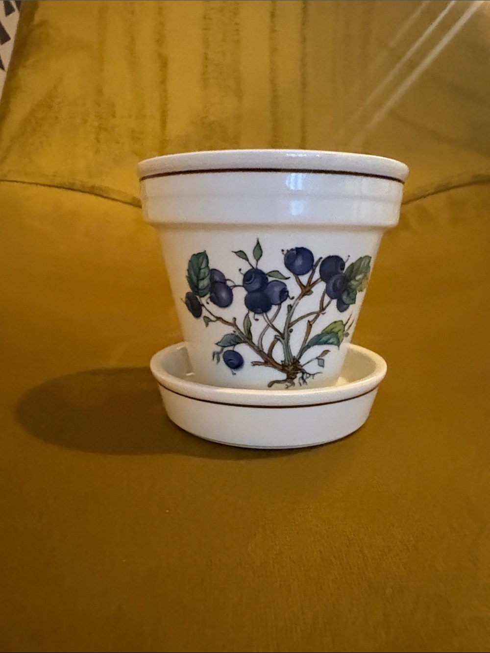 Villeroy & Boch White Ceramic Mini Plant Pot with Blueberry Design 🫐 🍃